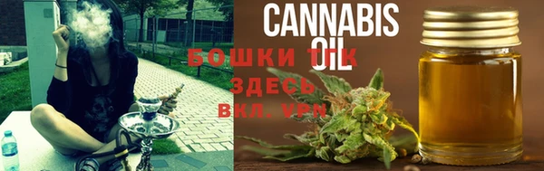 дмт Алзамай