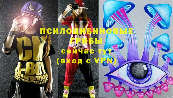 бошки Алексин
