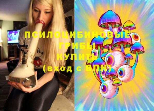бошки Алексин