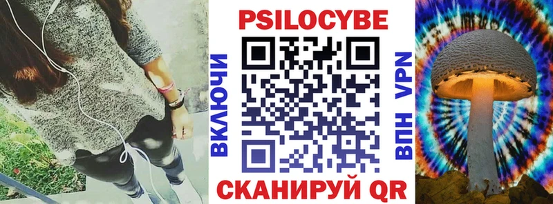 закладки  Козьмодемьянск  Галлюциногенные грибы Psilocybe 